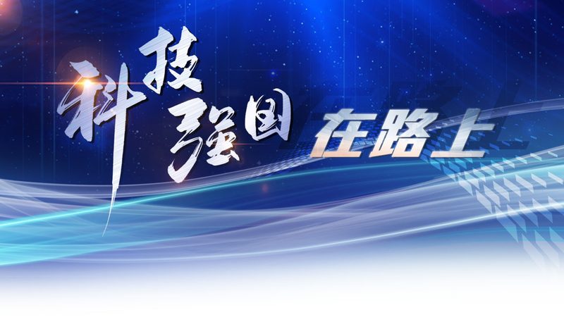 API网关安全策略：构建安全防护的坚实防线
